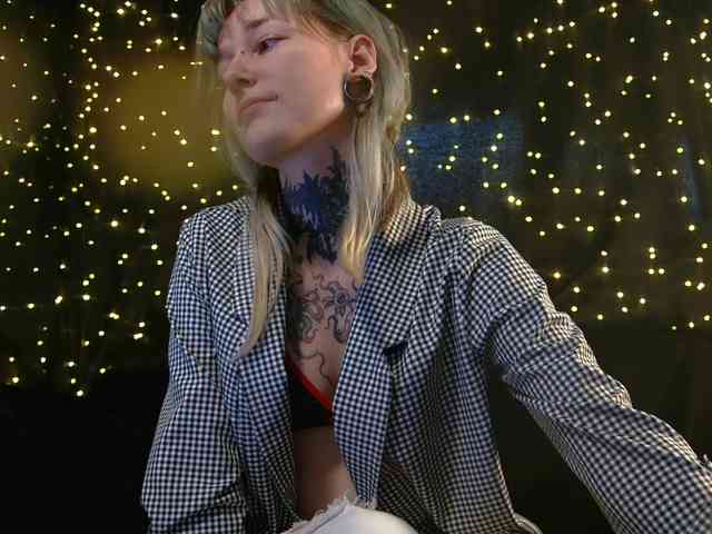 LittleSpaceMouse- webcam