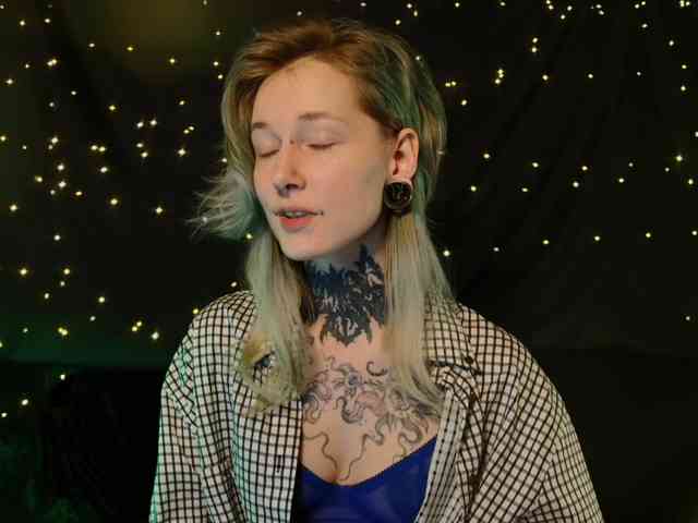 LittleSpaceMouse- webcam