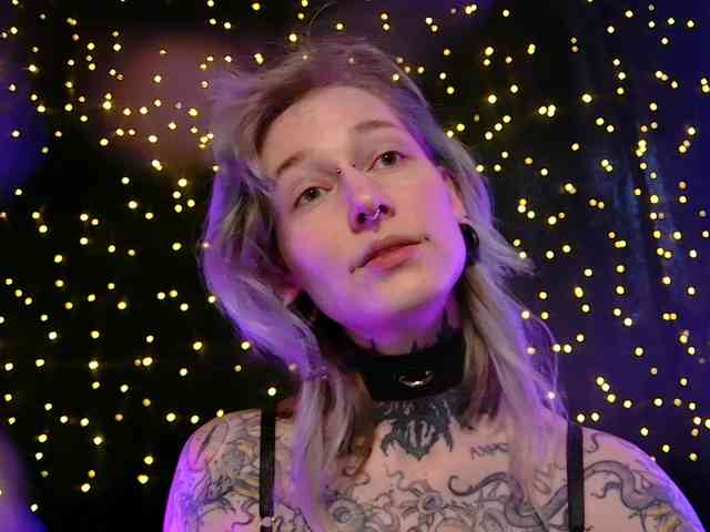 LittleSpaceMouse- webcam