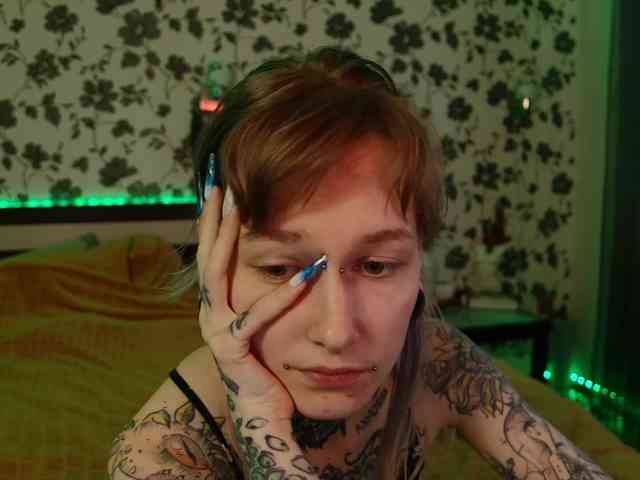 LittleSpaceMouse- webcam