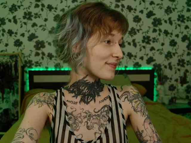 LittleSpaceMouse- webcam