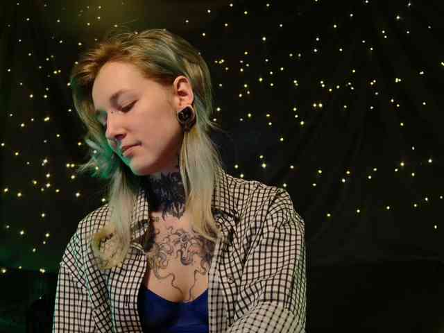 LittleSpaceMouse- webcam