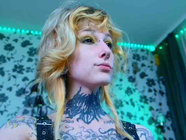LittleSpaceMouse- webcam