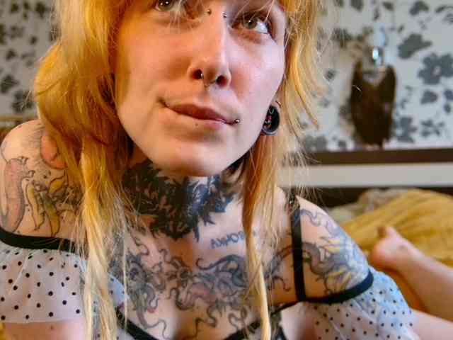 LittleSpaceMouse- webcam