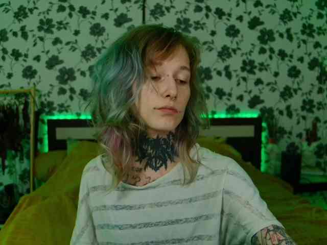 LittleSpaceMouse- webcam