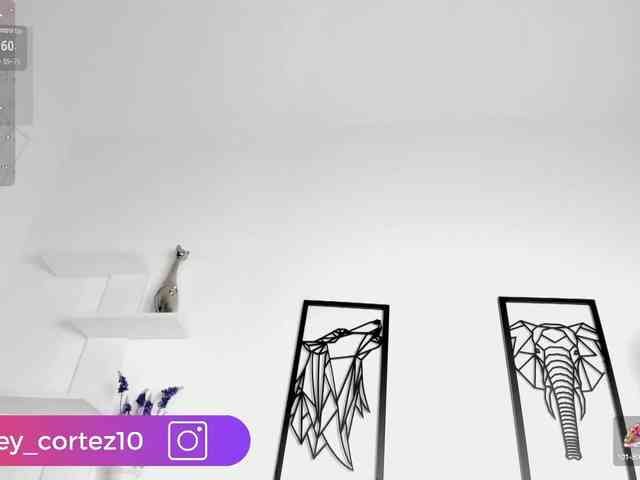 ashley_crotez webcam