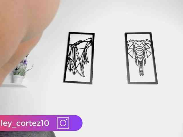 ashley_crotez webcam