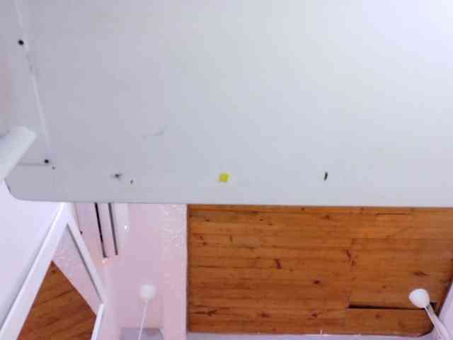 Cuckold-lover webcam