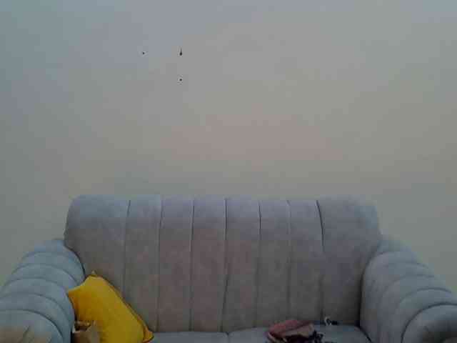 Divaslutty webcam