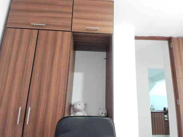 Adelejohnsonn webcam