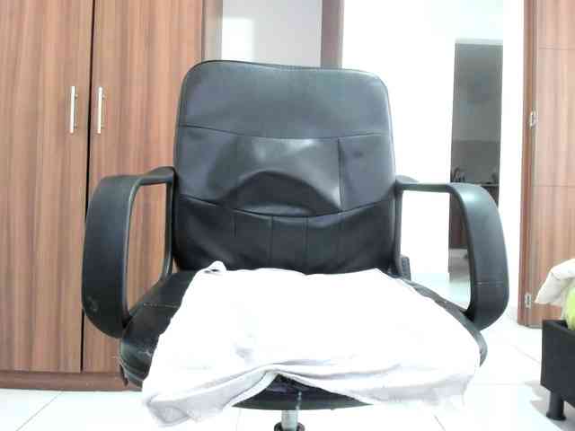 Adelejohnsonn webcam