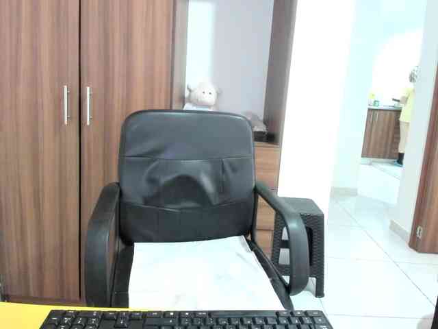 Adelejohnsonn webcam