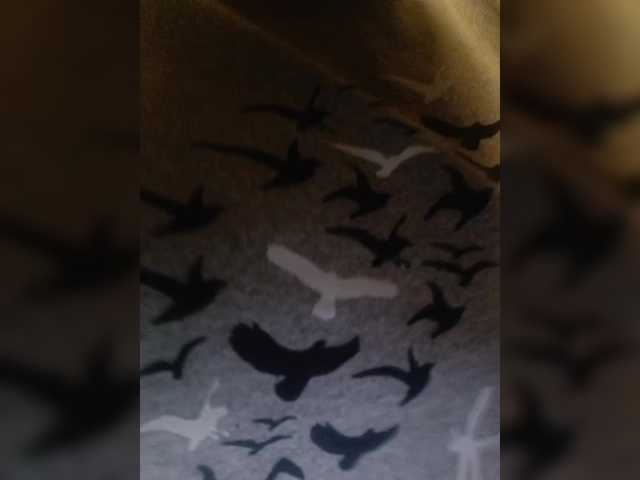 Flowerlily's BongaCams show and profile