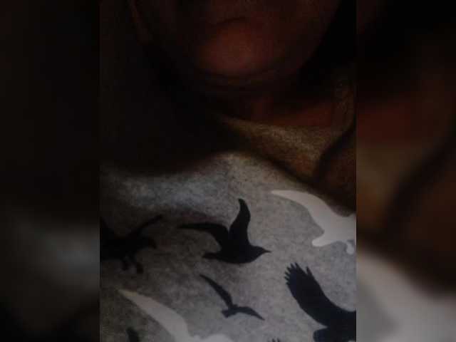 Flowerlily's BongaCams show and profile