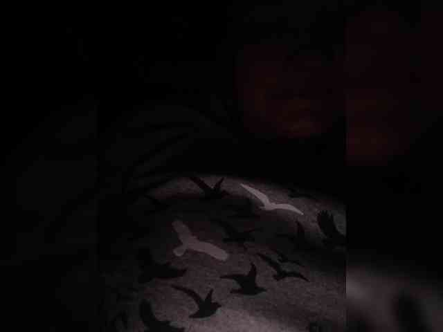 Flower_Jasmine webcam