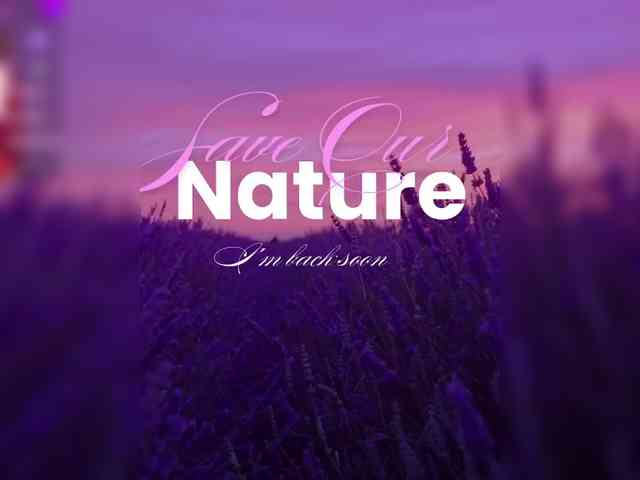 Flower_Jasmine webcam