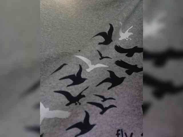 Flower_Jasmine webcam