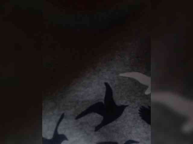 Flower_Jasmine webcam