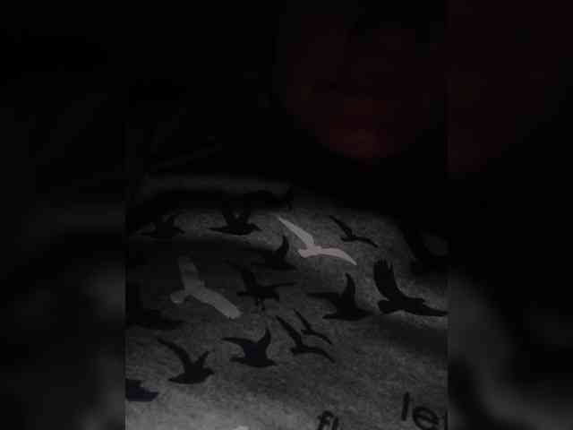 Flower_Jasmine webcam