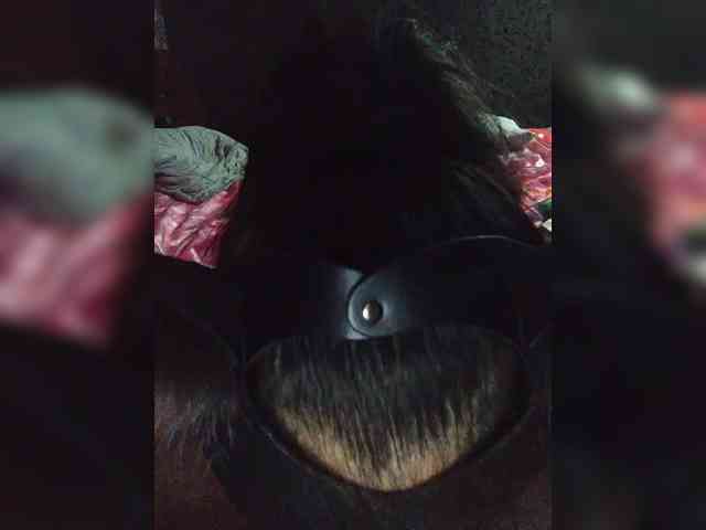 CJlaDkuE_MblcJlu webcam