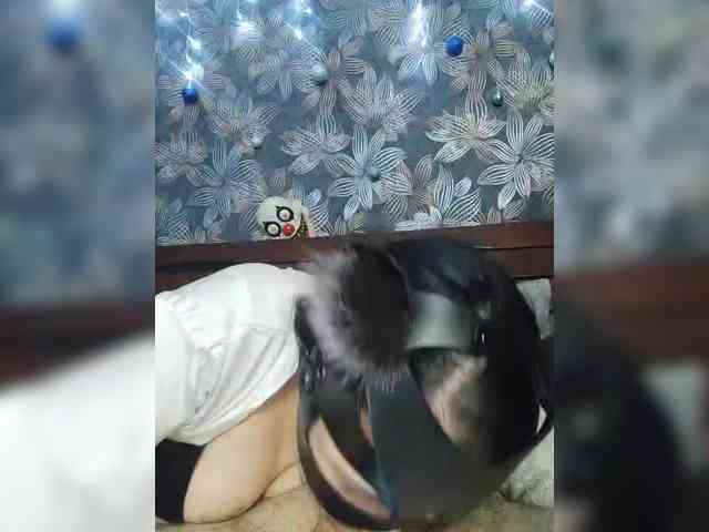 CJlaDkuE_MblcJlu webcam