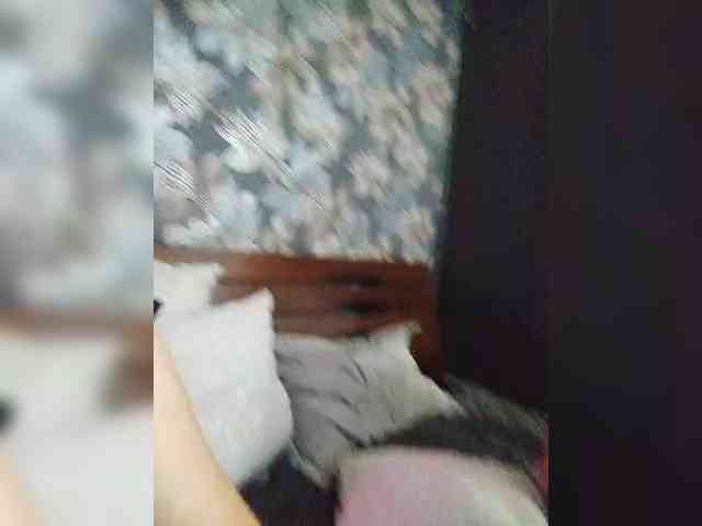 CJlaDkuE_MblcJlu webcam