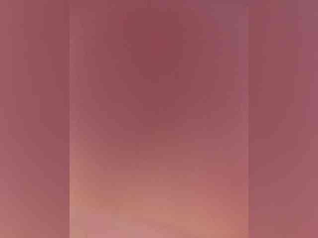 Red_Fox webcam