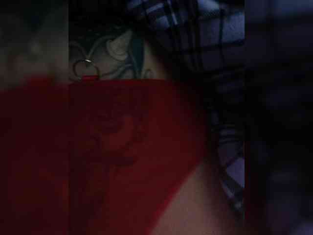 Red_Fox webcam