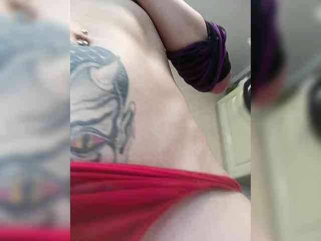 Red_Fox webcam