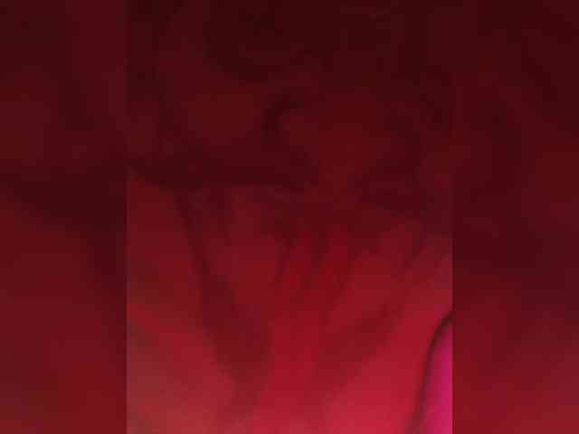 Red_Fox webcam