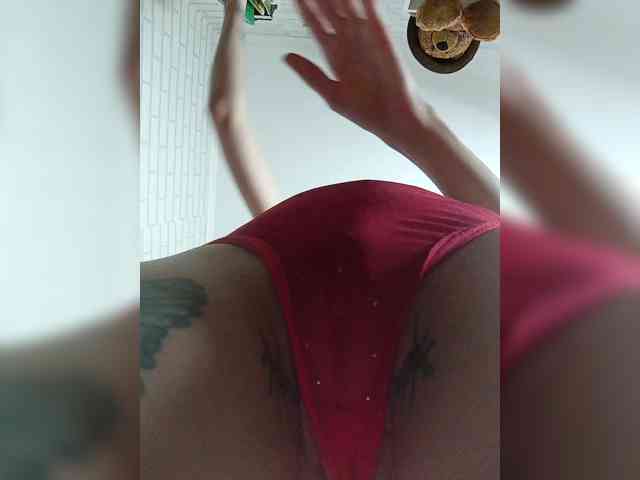 Red_Fox webcam