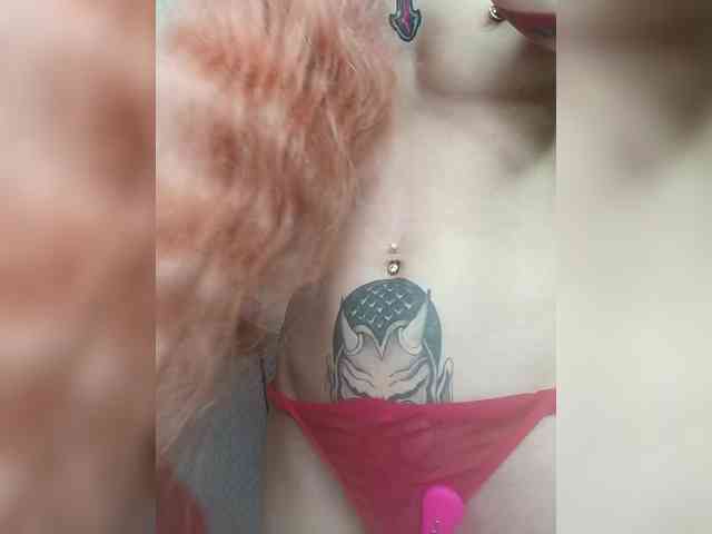 Red_Fox webcam