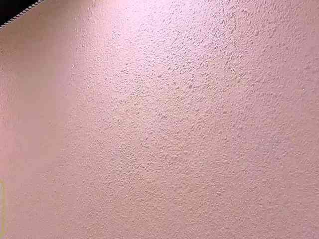 Audreyy webcam