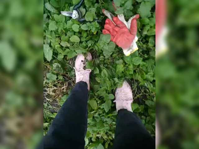 Profile and Statistics for -Alyona- on BongaCams