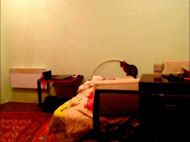 Preview of natalia7634