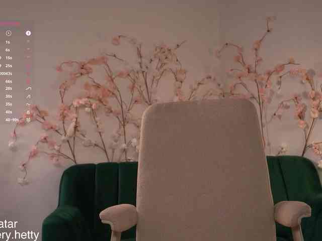 Hetty-satar webcam