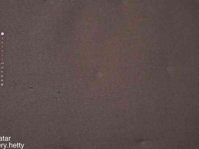 Hetty-satar webcam