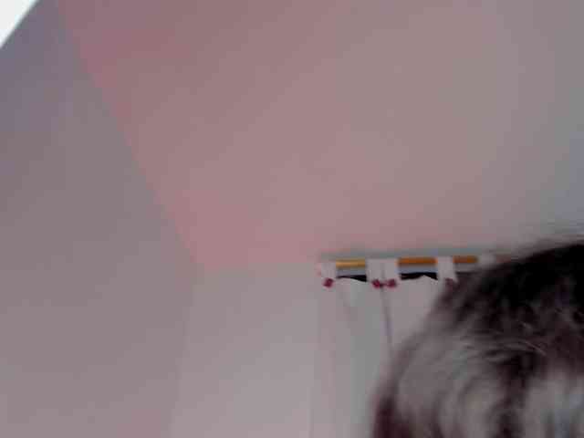 karolina-evans webcam