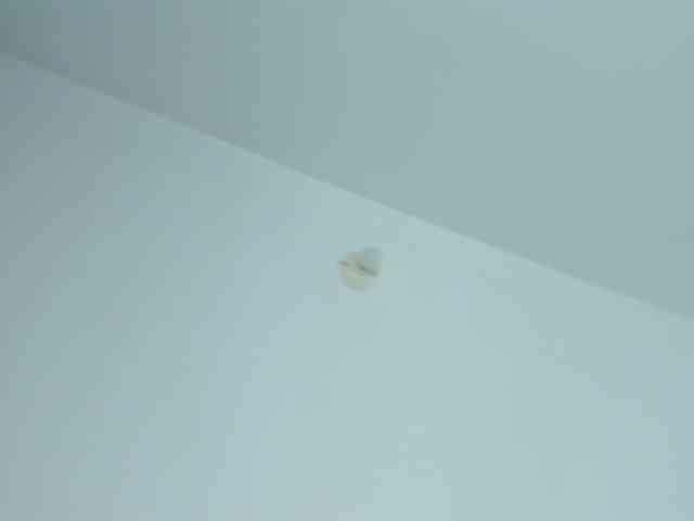 karolina-evans webcam