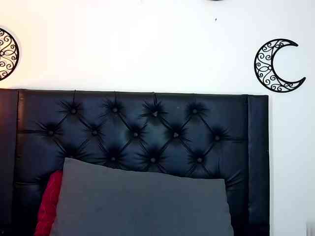 EvoletMK webcam
