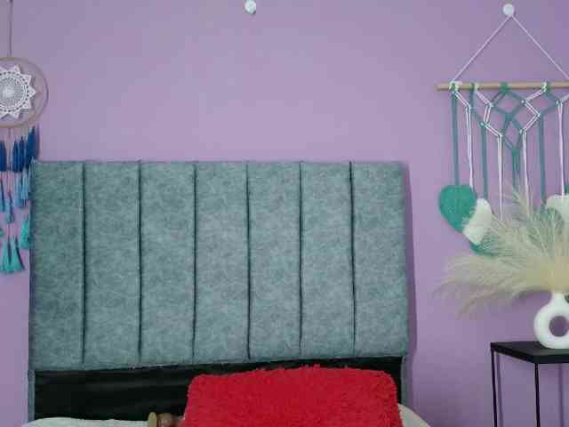 EvoletMK webcam