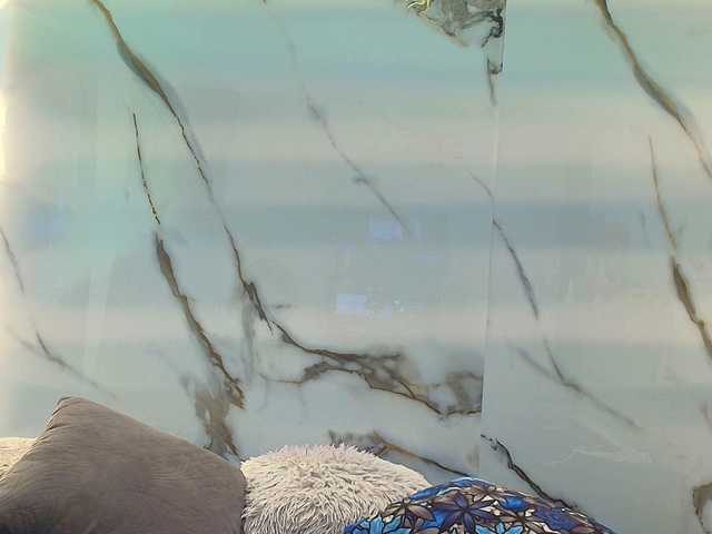 Alondraconnor's BongaCams show and profile