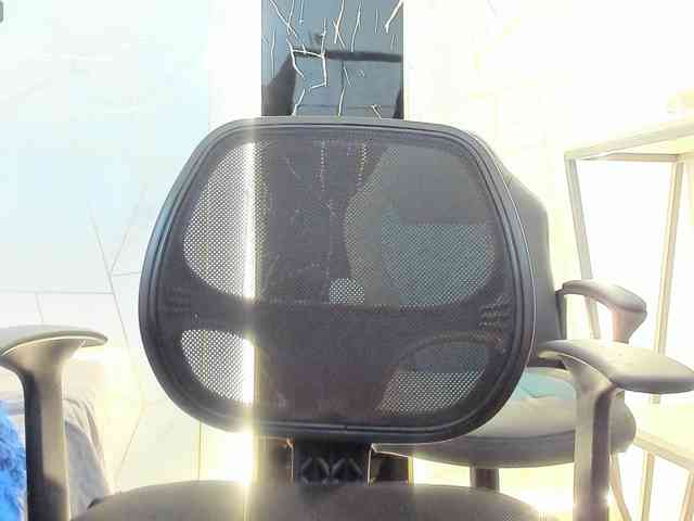 Alondra__connor webcam