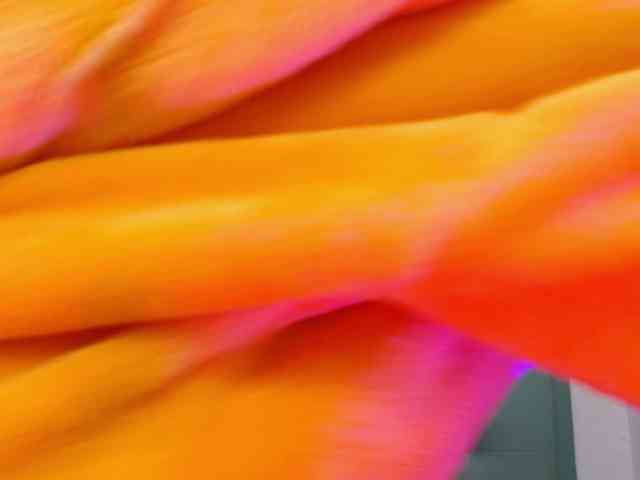 Alondra__connor webcam