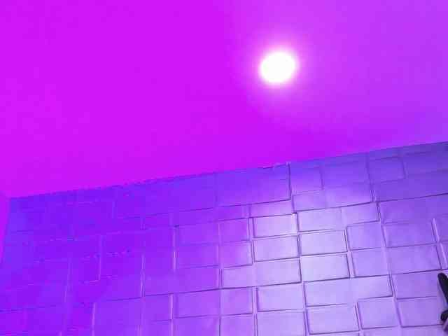 sasha-bossa webcam