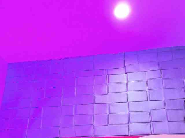 sasha-bossa webcam
