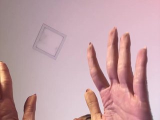 Megan-Holly Porn Show