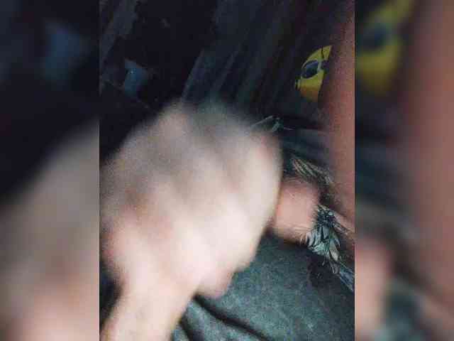 SEXYMAZAFUKER Live Webcam on BongaCams