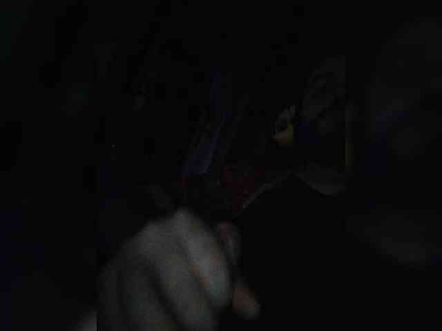 SEXYMAZAFUKER SEXYMAZAFUKER