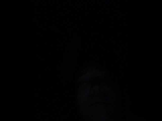 LynnMonica's BongaCams show and profile